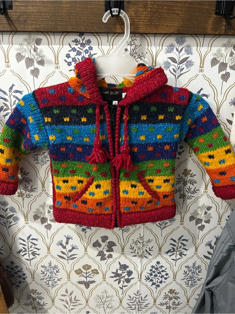 Colorful Hand-Knit Rainbow Hooded Zip Sweater